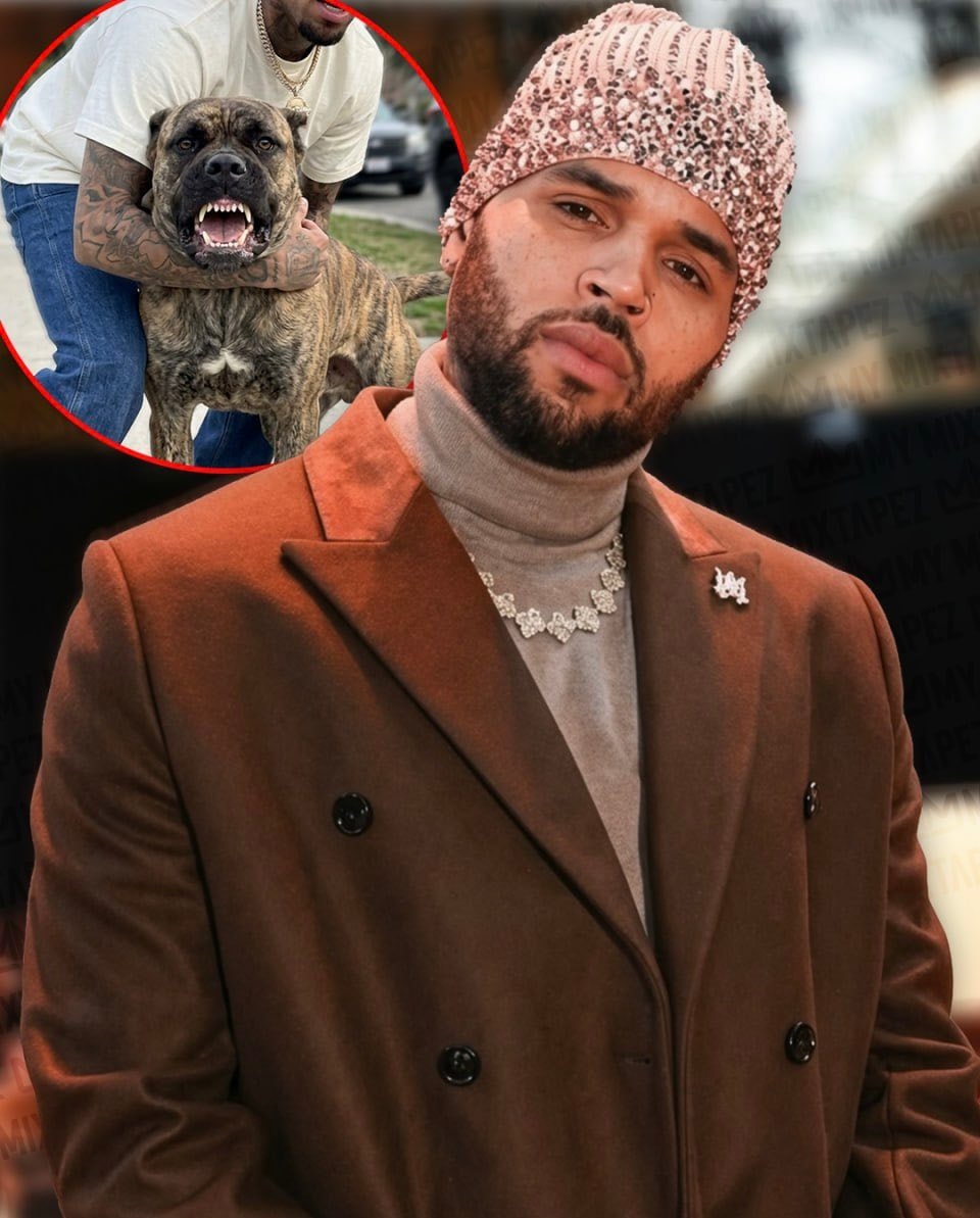 Chris Brown tour earnings ruling