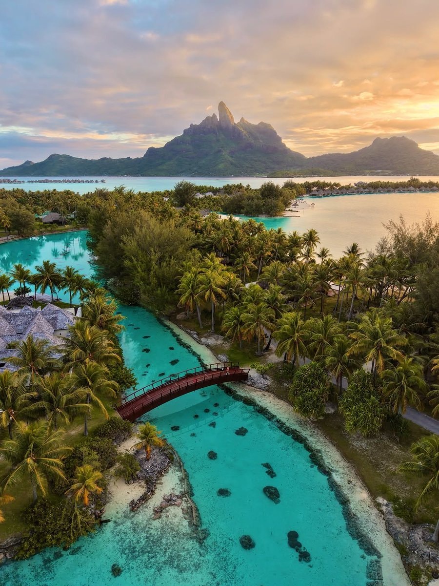 French Polynesia summer 🇵🇫 (photo 4 of 4)