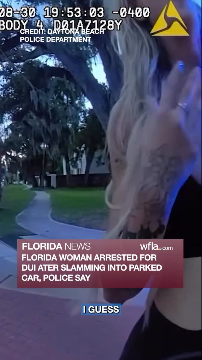 Florida DUI arrest footage