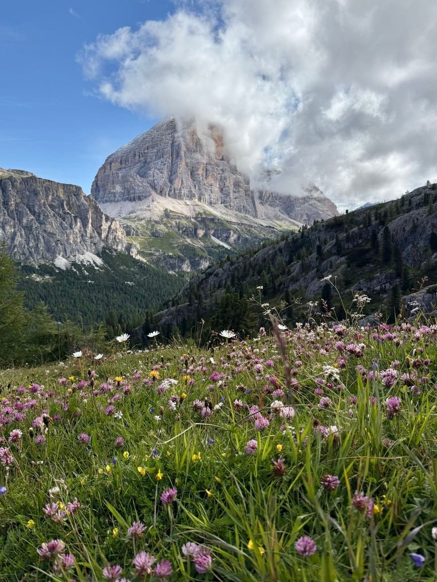Dolomites Italy (photo 2 of 4)