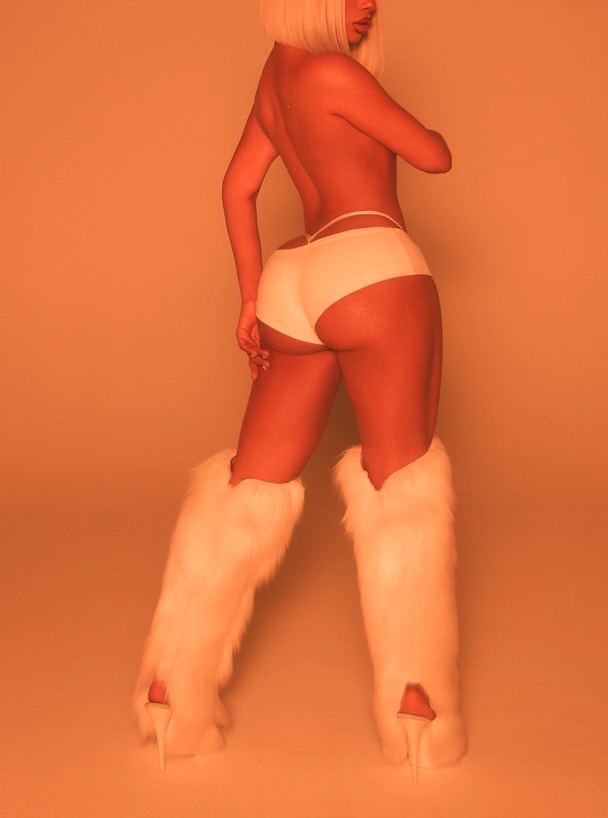 Megan Thee Stallion ACT III (photo 2 of 2)