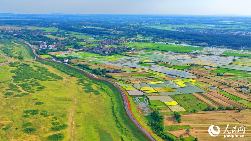 Mubu Village Jiangxi rice fields (photo 4 of 4)
