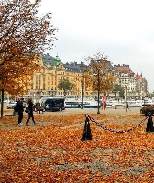 Autumn in Stockholm Sweden (photo 3 of 4)