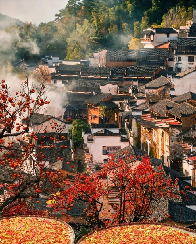 Shaiqiu drying harvest in Huangling, Wuyuan