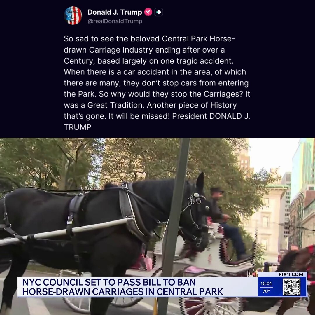 Trump on Central Park carriage ban
