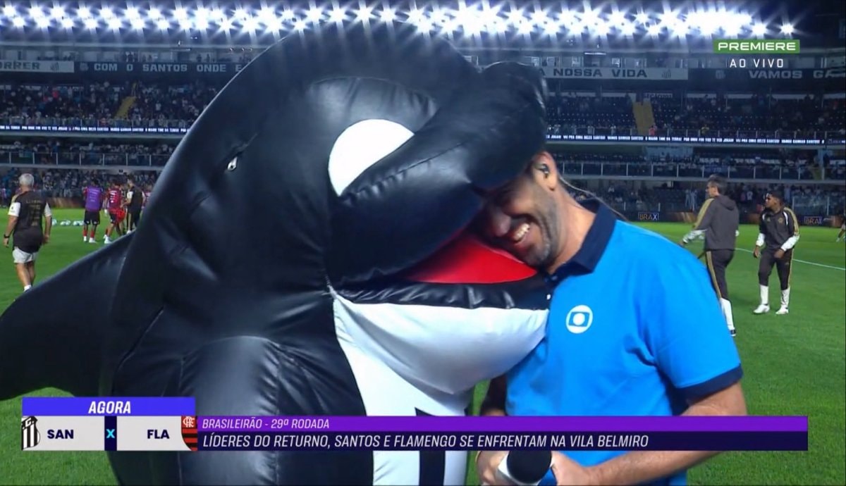Santos mascot incident