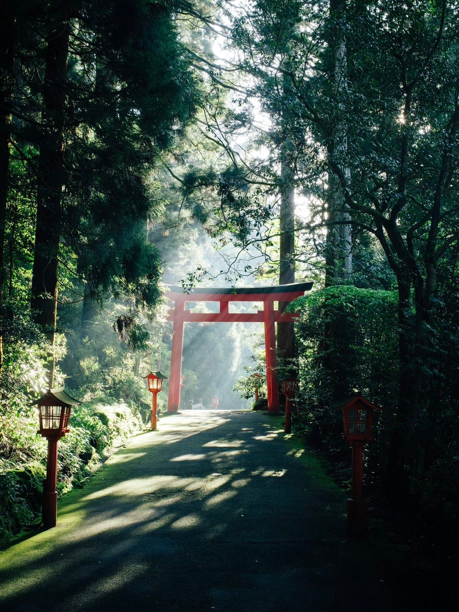 Hakone torii gate