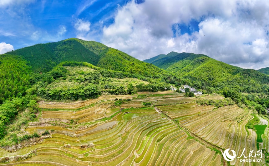 Terraced rice paddies in Jiangxi (photo 4 of 4)