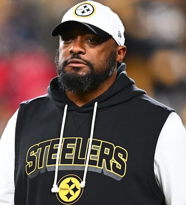 Mike Tomlin Minecraft City Reveal