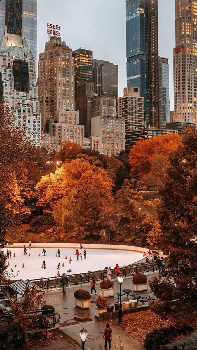 New York in Autumn (photo 2 of 4)