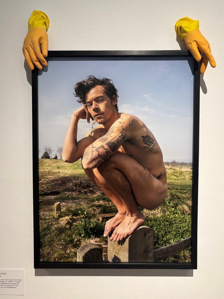 Harry Styles nude portrait at National Portrait Gallery