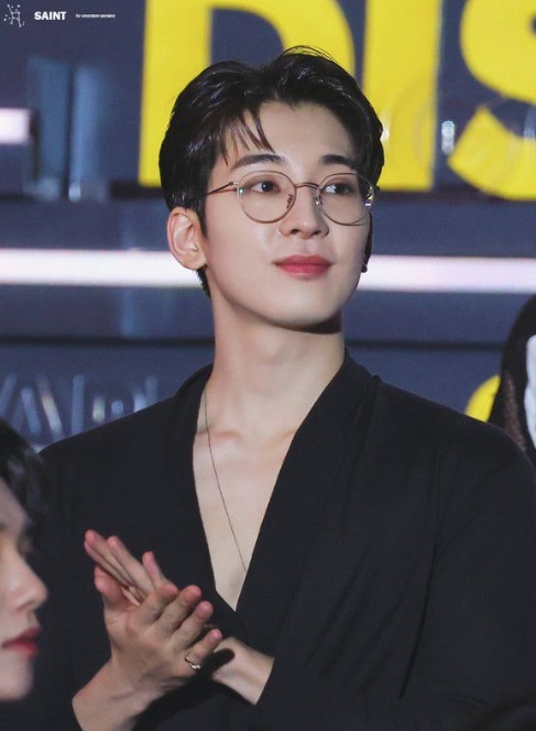 Wonwoo Golden Disc Awards 2023 (photo 2 of 2)