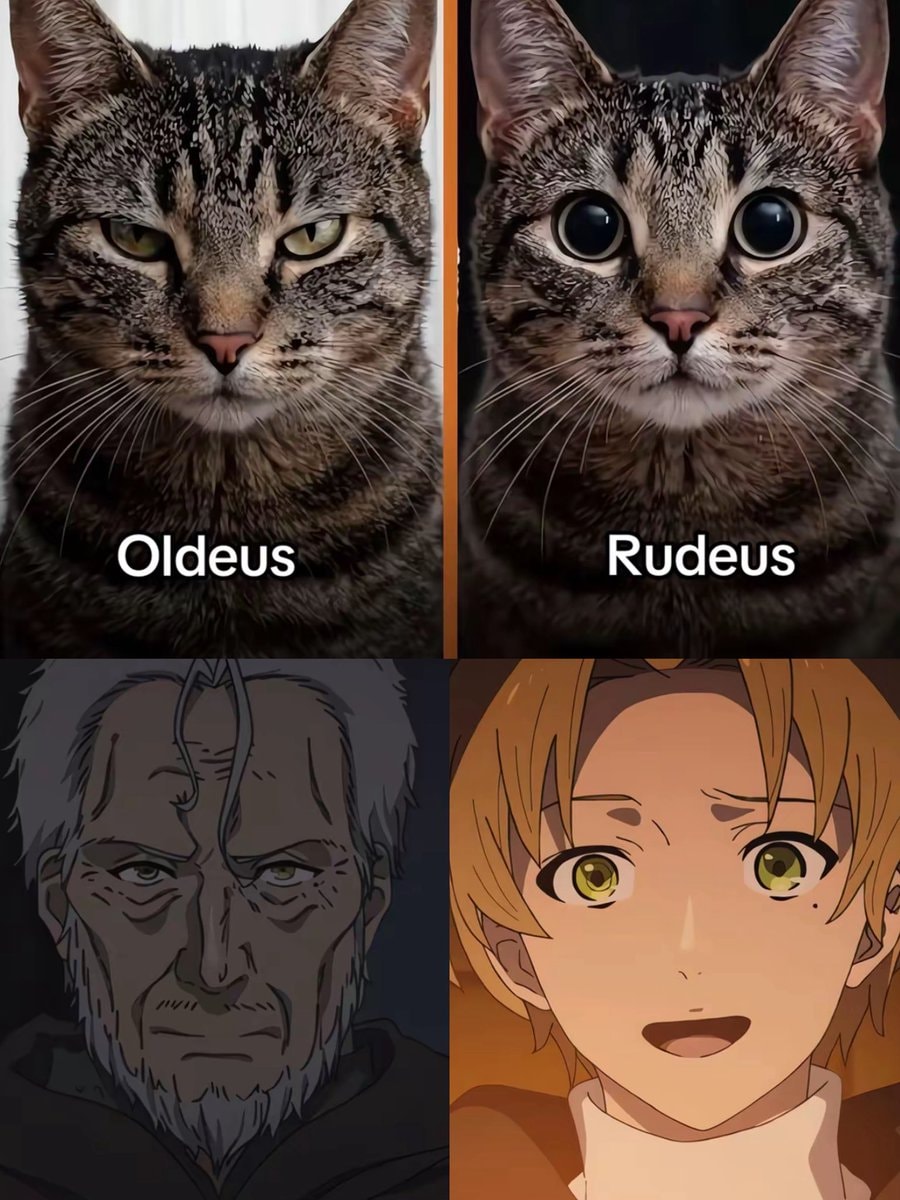 cats and anime characters same energy meme cats and anime characters same energy meme
