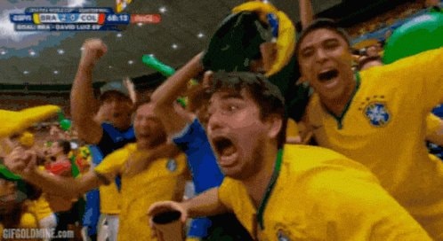 Brazil fans celebrate at World Cup match