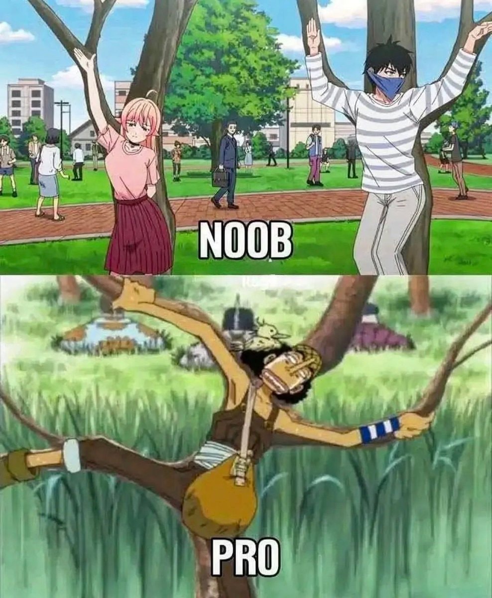 Usopp One Piece NOOB vs PRO