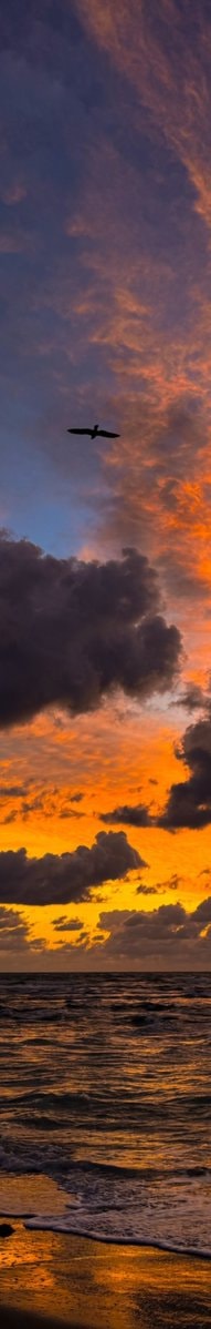 sunset over the ocean (photo 3 of 4)