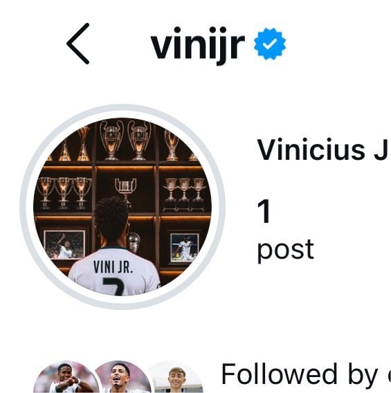 Vinicius Jr new Instagram profile picture 🤍 (photo 2 of 2)