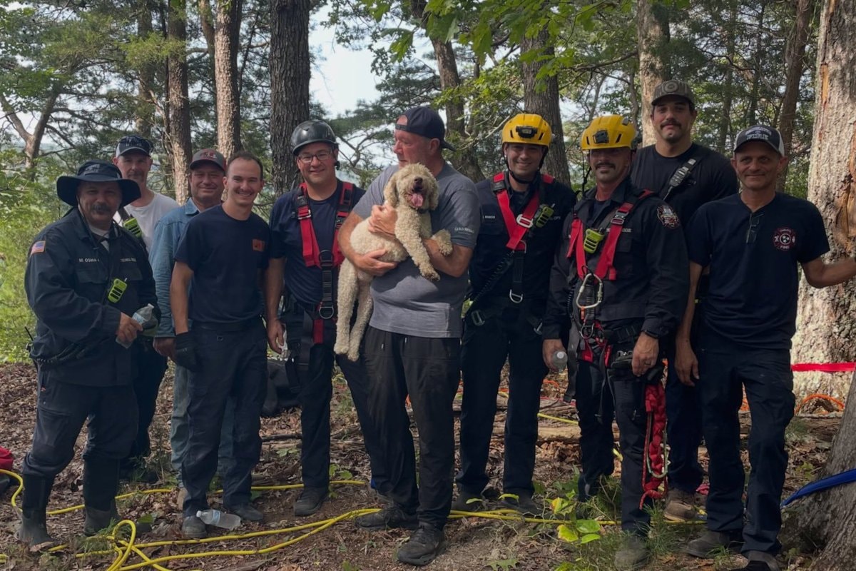 Gigachad Carl cliff rescue (photo 2 of 2)