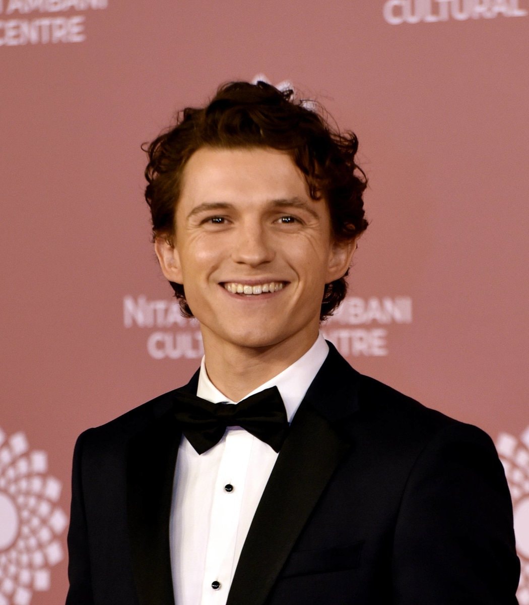 Spider-Man: Brand New Day Tom Holland earnings (photo 2 of 3)