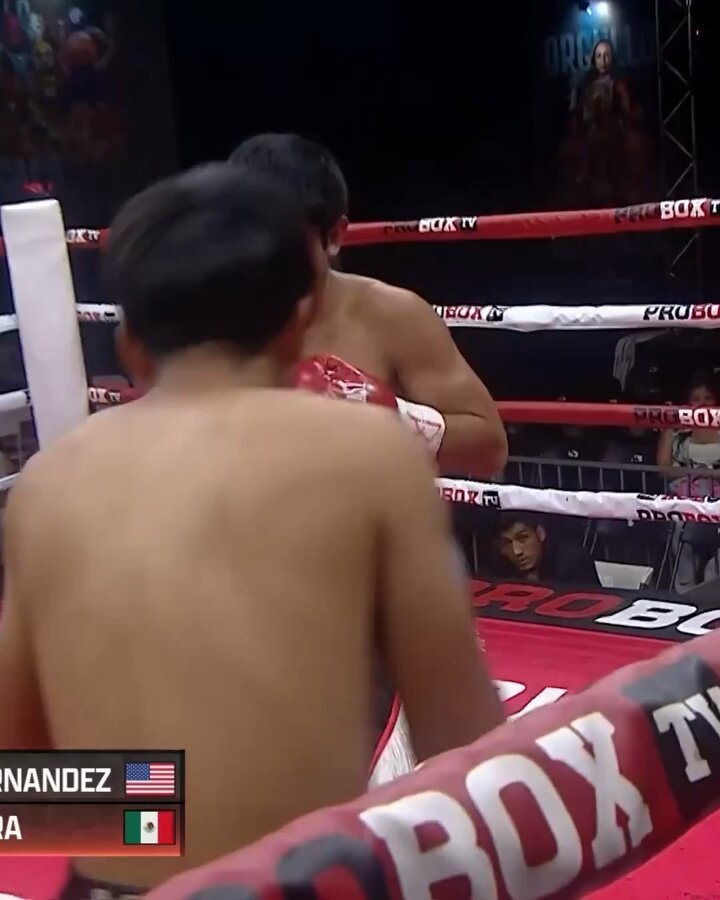 Edwin Hernández vs Paul Jara knockout