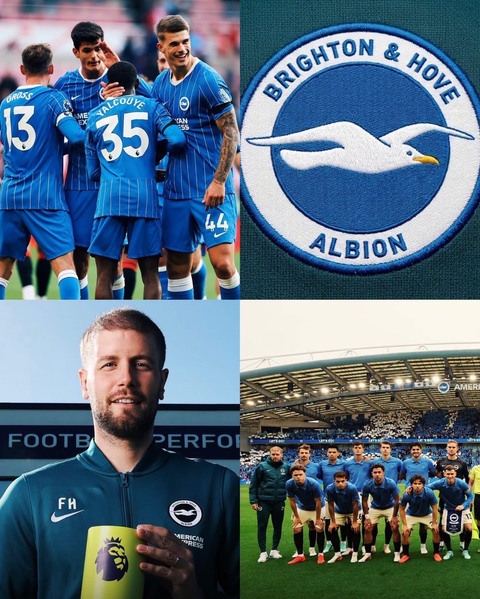 Brighton Fabian Hürzeler super season