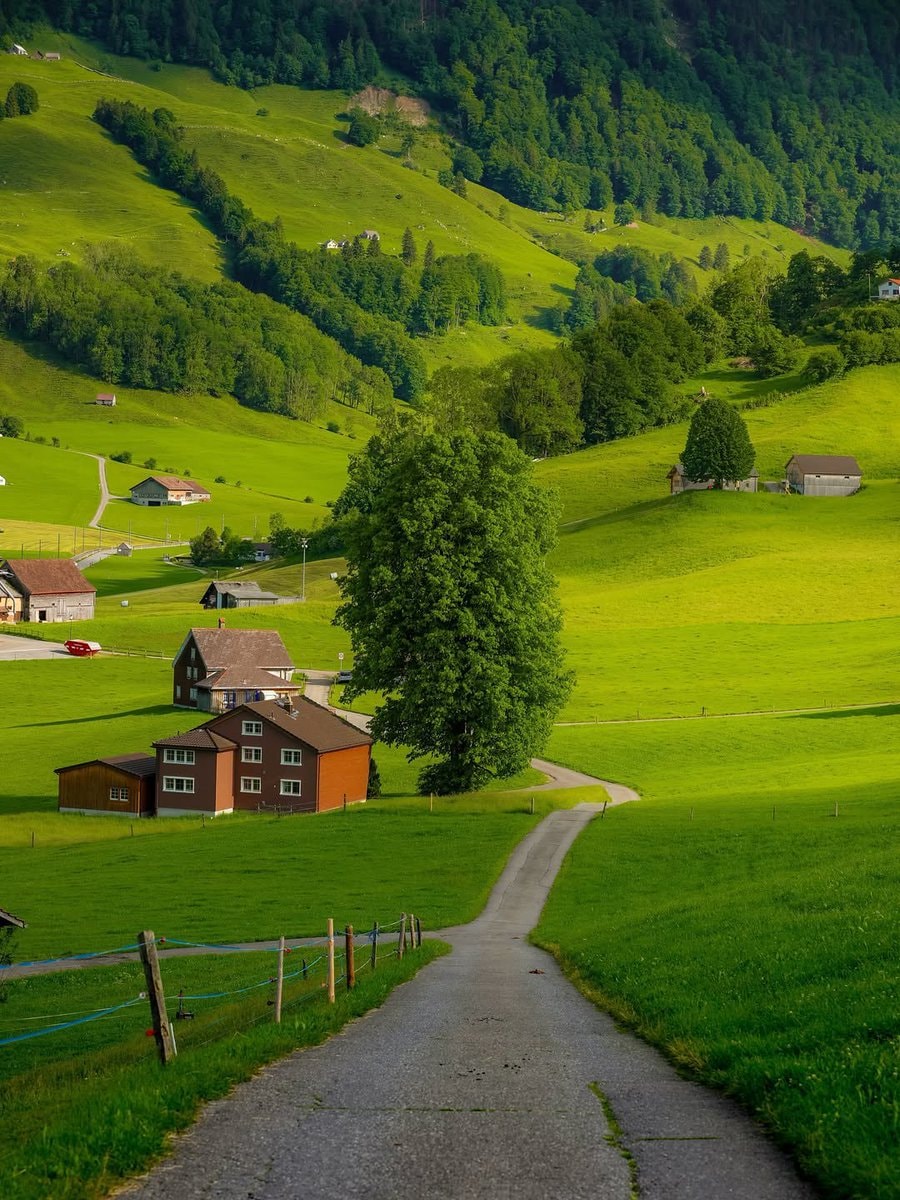 Switzerland (photo 2 of 4)