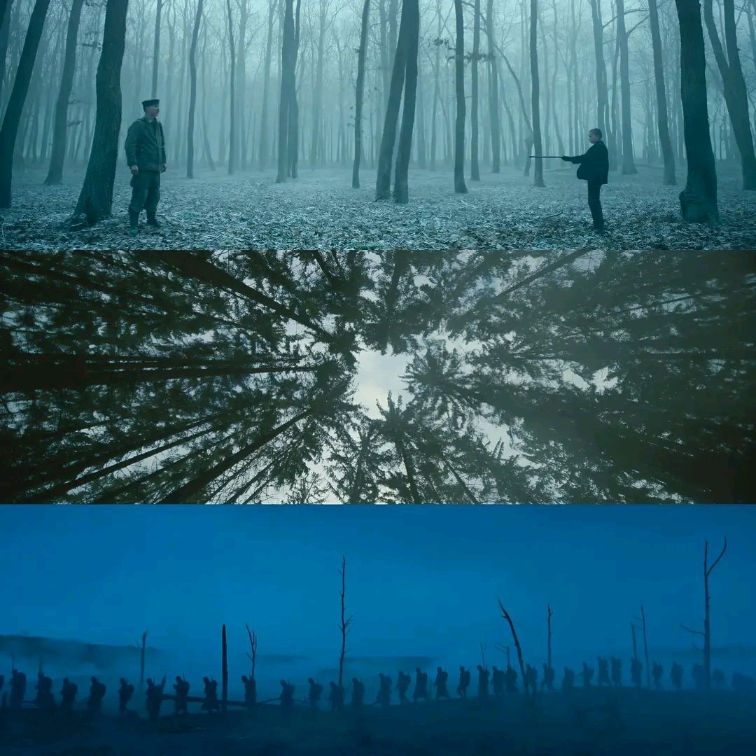 Netflix film Oscar Best Cinematography