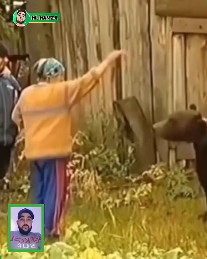 Unbelievable funny moments