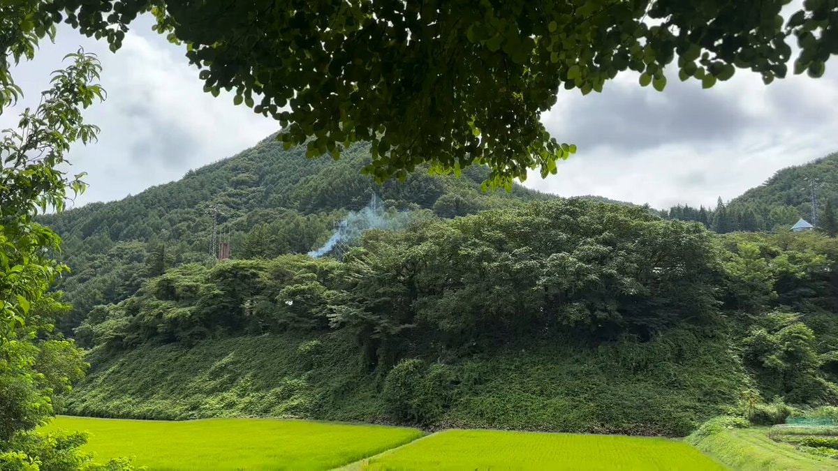 green therapy experience