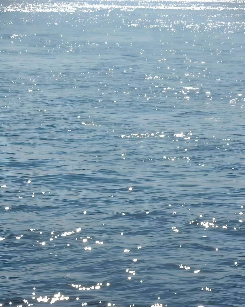 Solitary island shimmering ocean (photo 3 of 4)