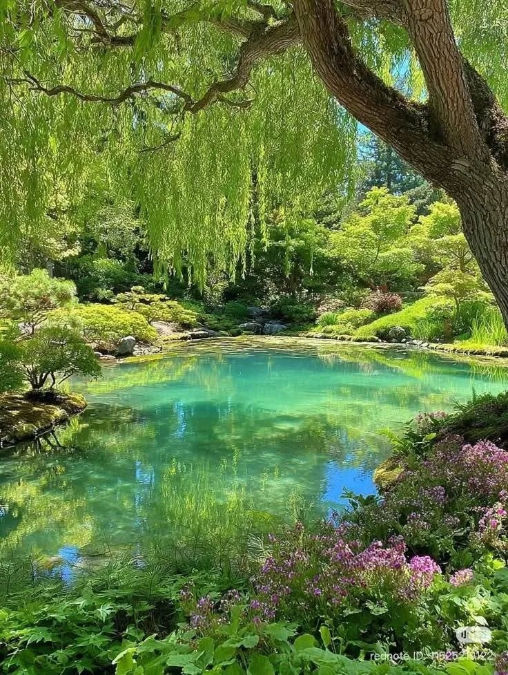 Serene lakeside garden mountains (photo 2 of 2)
