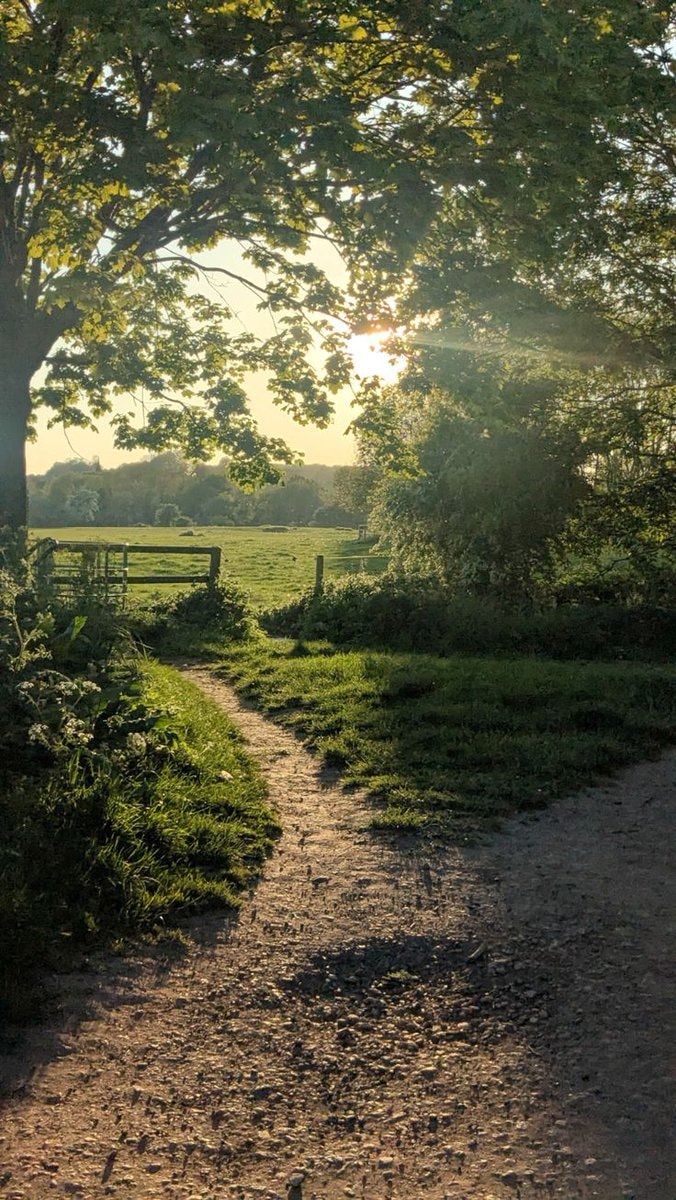 English Countryside Scene (photo 4 of 4)