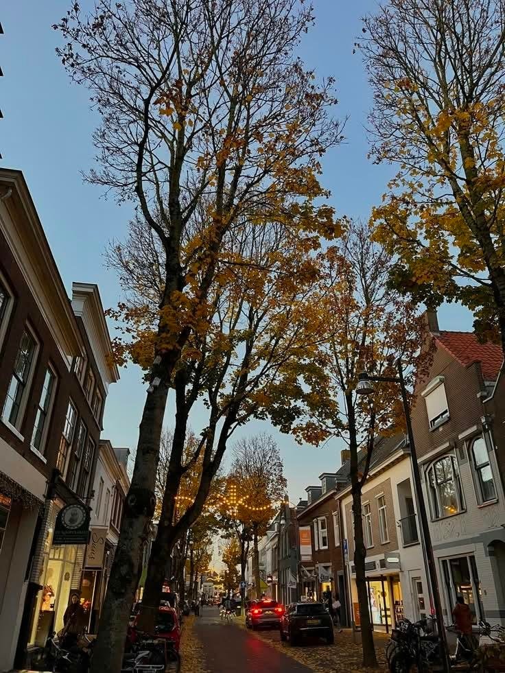 Autumn in Amsterdam Netherlands (photo 3 of 4)
