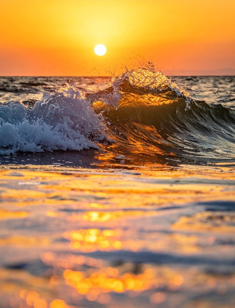 ocean wave at sunset