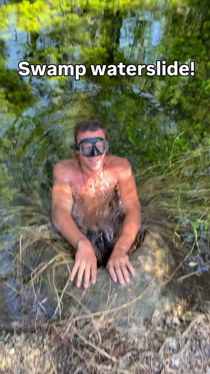 Alligator Waterslide