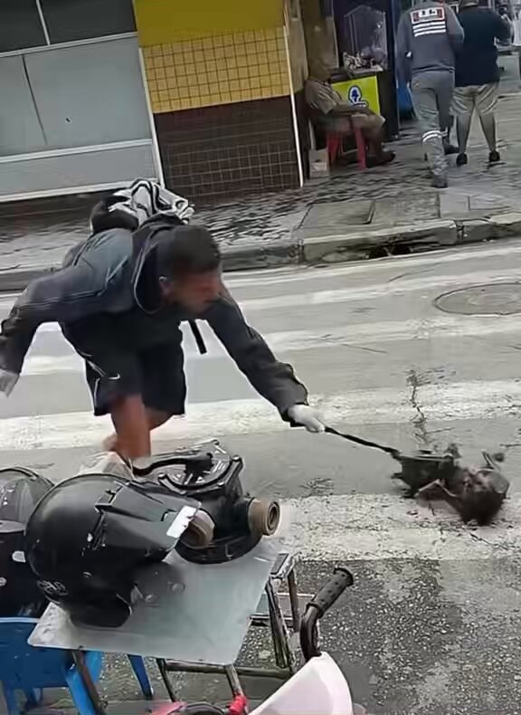 stranger saves dog with stick