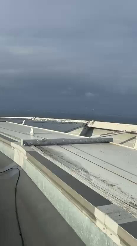 RSA vs NZL health update