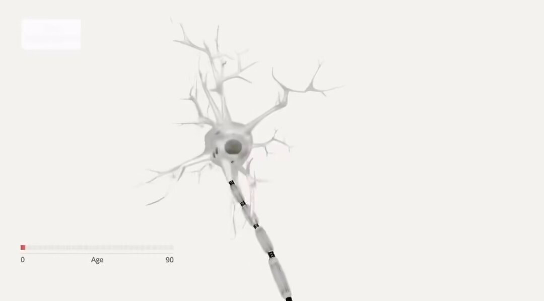 neuroplasticity explained
