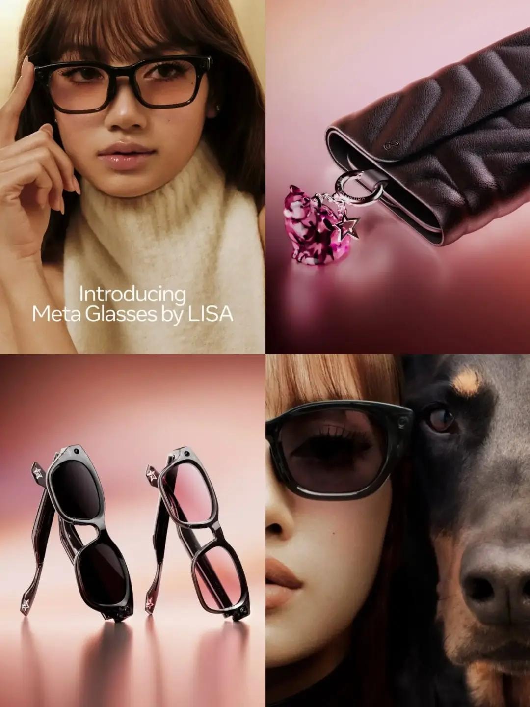 Meta Glasses by LISA two styles (photo 2 of 4)