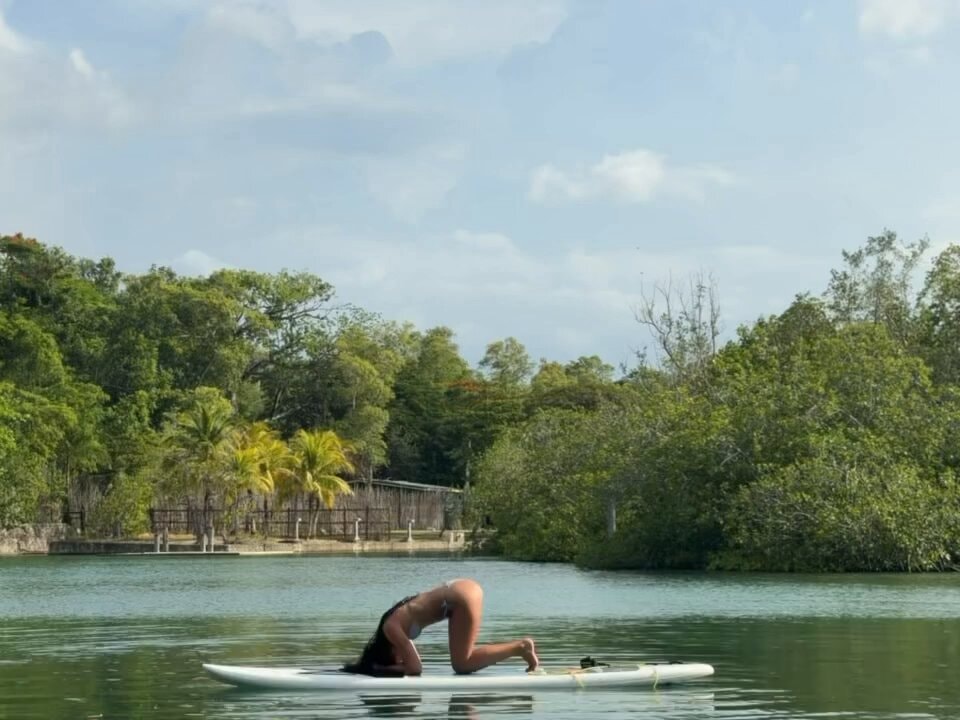 Dua Lipa paddle board headstand Dua Lipa paddle board headstand