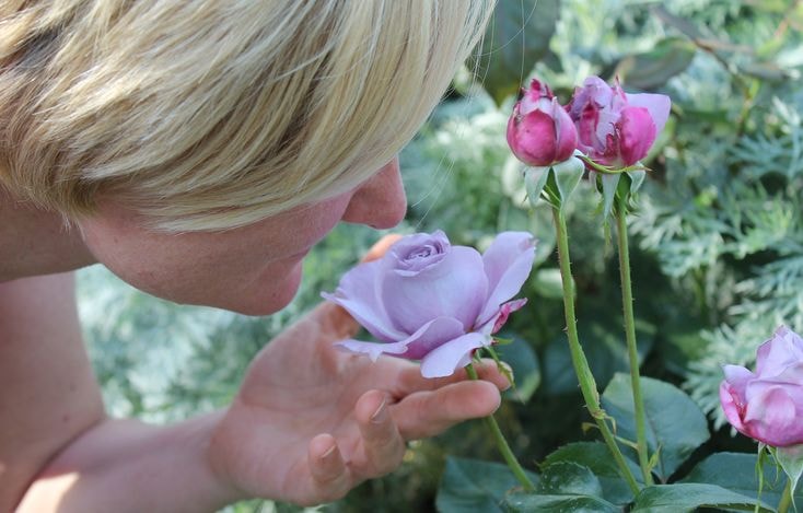 Flower scent brain study (photo 2 of 2)