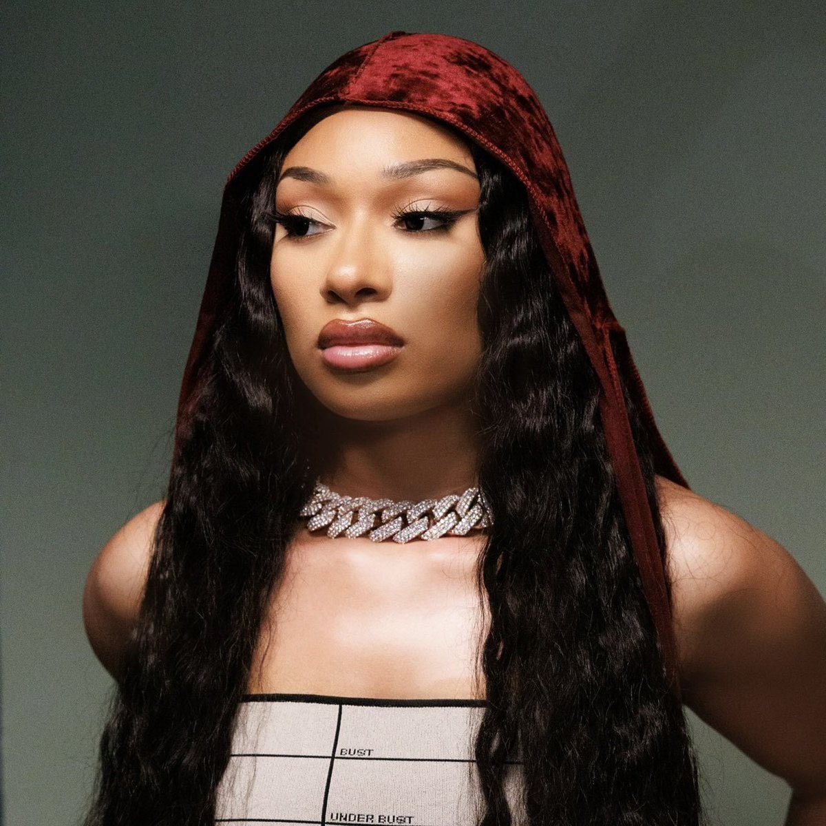 Megan Thee Stallion RIAA certifications (photo 1 of 2)