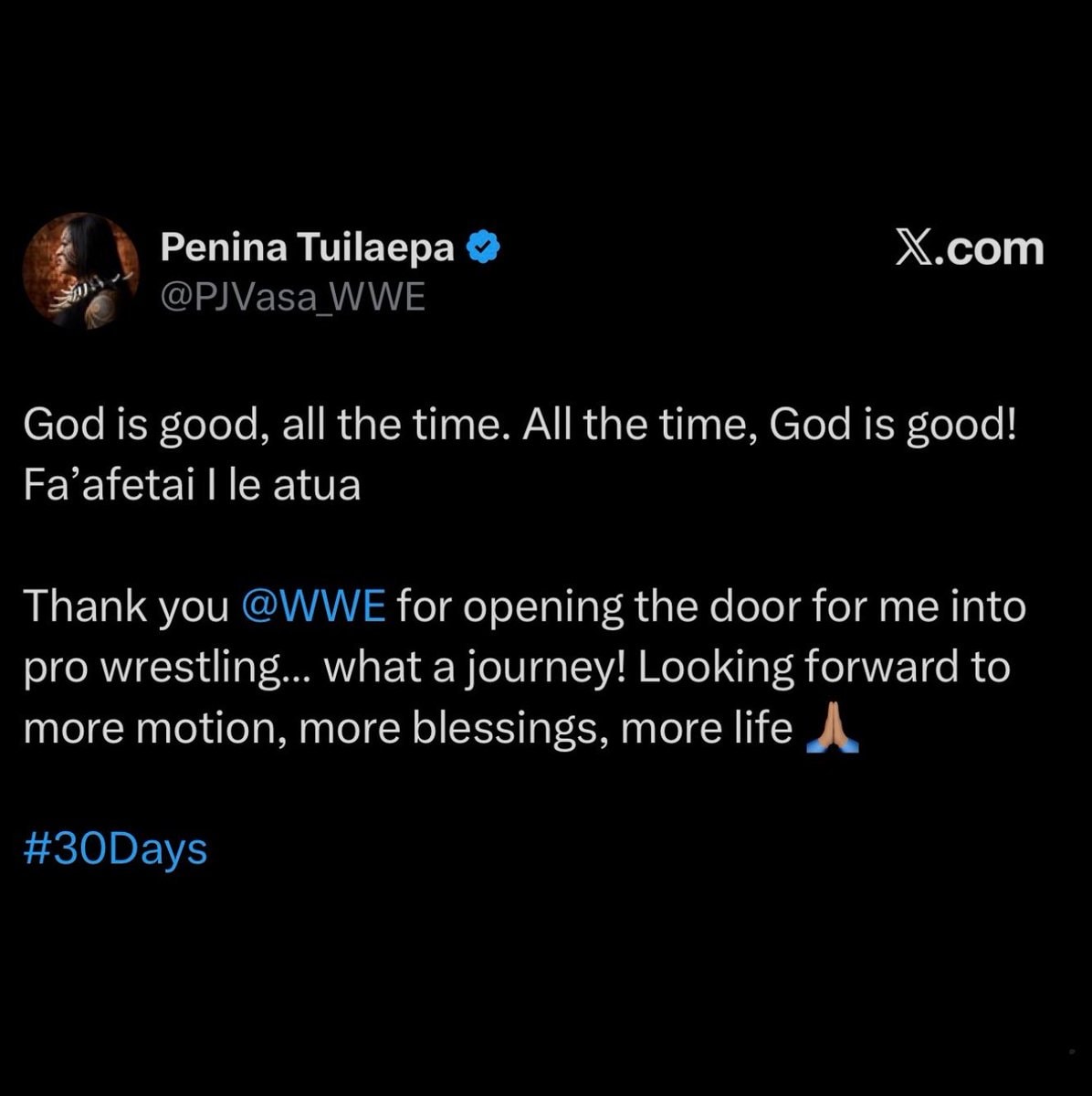 PJ Vasa WWE departure (photo 2 of 2)