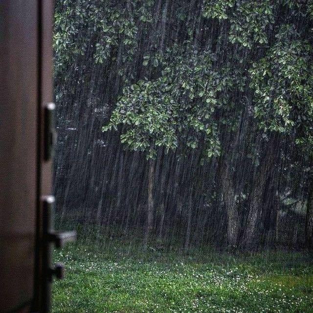 rain smell aesthetic (photo 2 of 4)