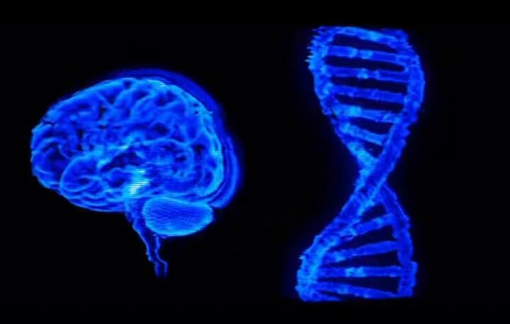 Brain and DNA identity visualization Brain and DNA identity visualization