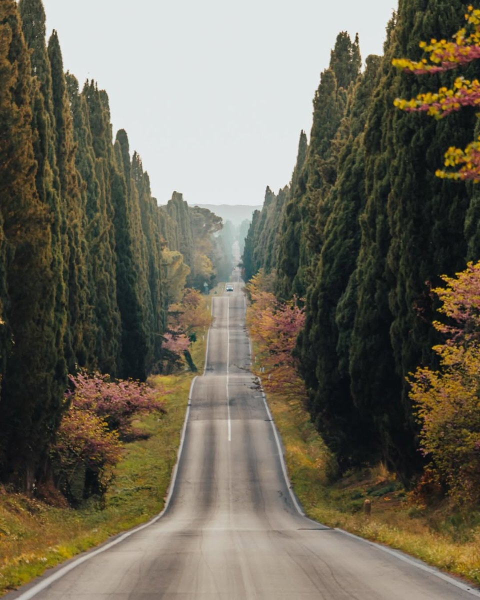 Toscana Italy Scenic Drive 🇮🇹 (photo 2 of 4)