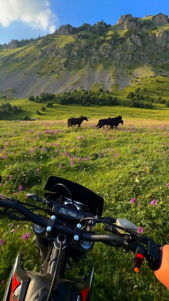 Motorcycle ride through flower field