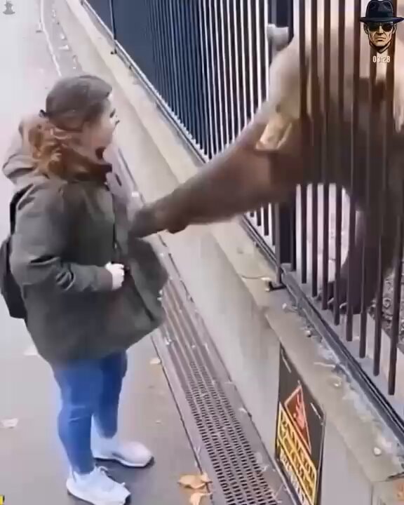 Funny camera moments