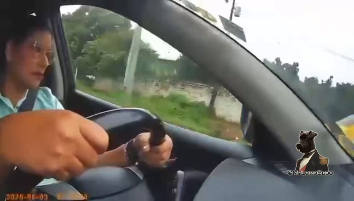 Ecuador woman flees robbery dashcam