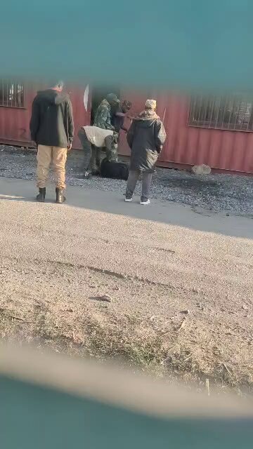 Kambove violence allegations